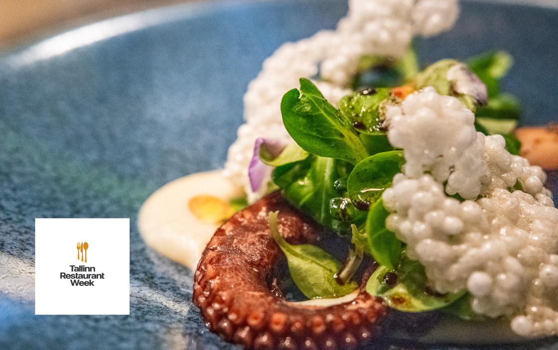 Maitseküllane kaheksajalg Tallinna Restoranide Nädalal